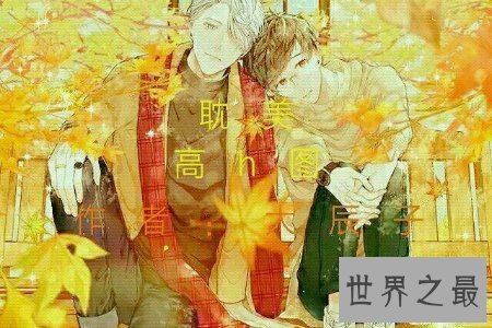 【图】bl小说遭到腐女的青眼 bl小说高h更是他们最喜欢