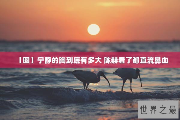 【图】宁静的胸到底有多大 陈赫看了都直流鼻血 【图】宁静的胸到底有多大 陈赫看了都直流鼻血