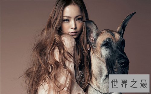 【图】艾回九大歌姬分别是谁 安室奈美惠已成为乐坛的