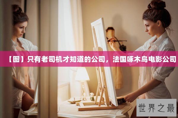 【图】只有老司机才知道的公司,法国啄木鸟电影公司 【图】只有老司机才知道的公司,法国啄木鸟电影公司