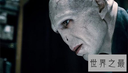 【图】哈利波特中伏地魔的七个魂器有什么神力