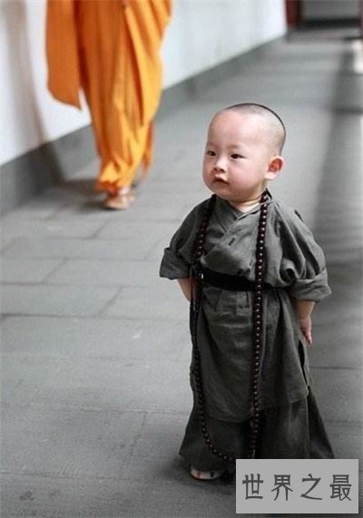 【图】最萌小和尚成都走红 韩国盛行小和尚寺庙体验
