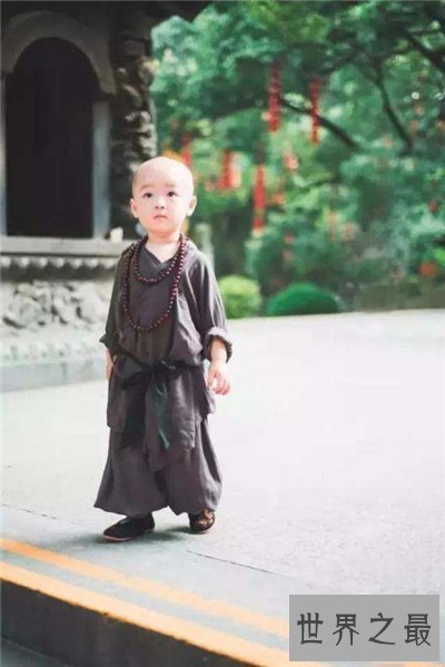 【图】最萌小和尚成都走红 韩国盛行小和尚寺庙体验