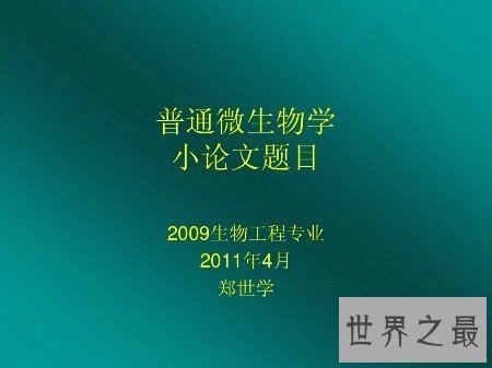 【图】小论文怎样写  小论文格式是什么  咱们应该注