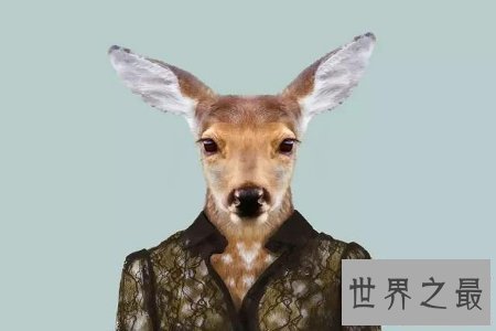 【图】人面兽心通常作贬义词 描画人的道德败坏