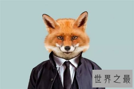 【图】人面兽心通常作贬义词 描画人的道德败坏