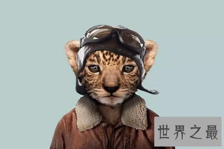 【图】人面兽心通常作贬义词 描画人的道德败坏