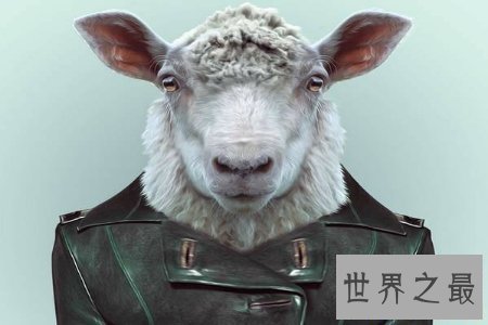 【图】人面兽心通常作贬义词 描画人的道德败坏