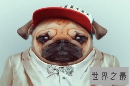 【图】人面兽心通常作贬义词 描画人的道德败坏