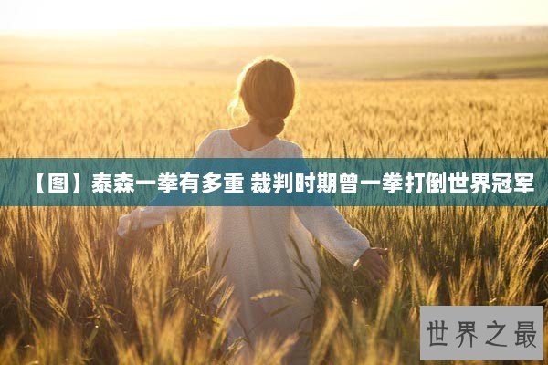 【图】泰森一拳有多重 裁判时期曾一拳打倒世界冠军