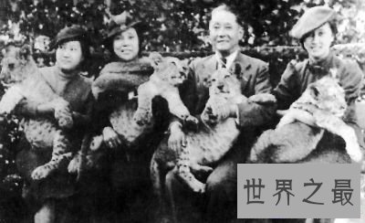 【图】 文能写书辩论 武能指挥作战 他就是蒋百里