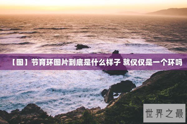 【图】节育环图片到底是什么样子 就仅仅是一个环吗