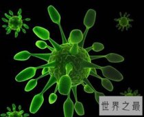 【图】防不胜防的敌人无形的杀手 流行性感冒