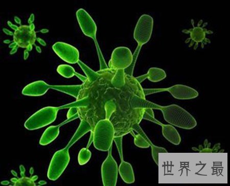 【图】防不胜防的敌人无形的杀手 盛行性感冒