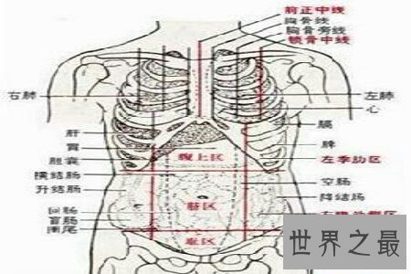【图】人体对于一些人来说是很奥秘的 大家了不了解人