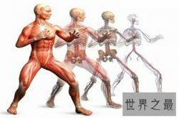 【图】人体对于一些人来说是很神秘的 大家了不了解人