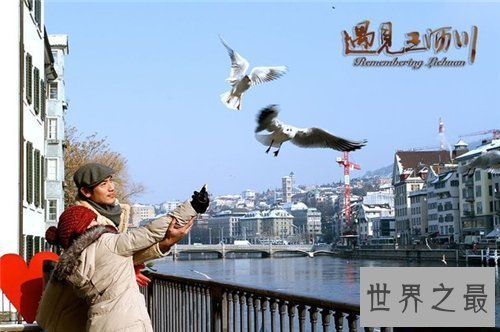 【图】遇见王沥川终局是什么意思 泛滥网友对此议论纷