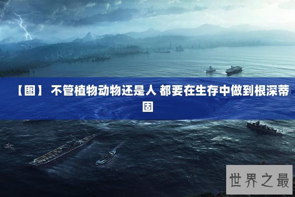 【图】 不管植物动物还是人 都要在生存中做到根深蒂固