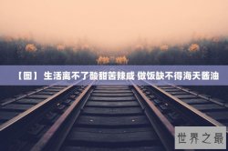 【图】 生活离不了酸甜苦辣咸 做饭缺不得海天酱油