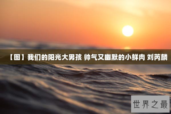 【图】我们的阳光大男孩 帅气又幽默的小鲜肉 刘芮麟