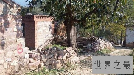 【图】让咱们一同来探寻或者渑池的历史以及近时古代