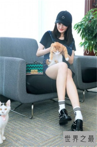 【图】杨幂丝袜流动照掀起一阵热潮 美腿真是穿啥都好