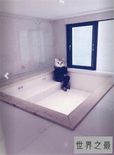 【图】郭敬明为什么叫小四 郭敬明新豪宅照曝光