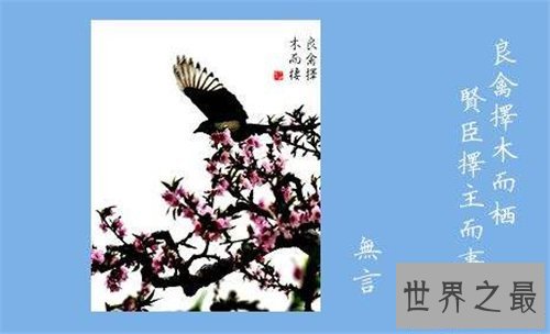 【图】良禽择木而栖的含义引见 出处及节选引见