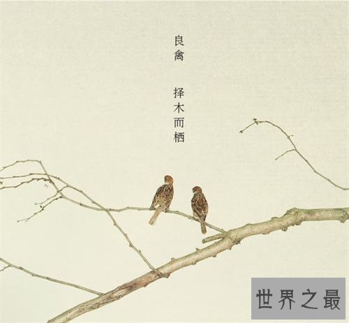 【图】良禽择木而栖的含义引见 出处及节选引见