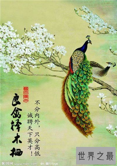 【图】良禽择木而栖的含义引见 出处及节选引见