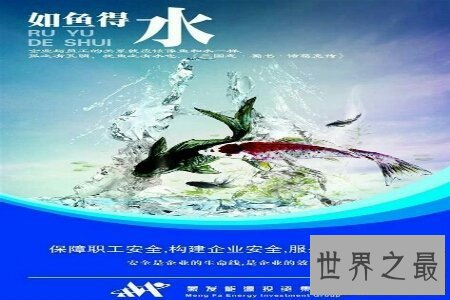 【图】瓮中之鳖是我国现代的一个成语 你知道瓮中之鳖