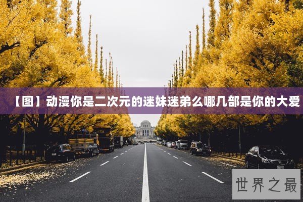 【图】动漫你是二次元的迷妹迷弟么哪几部是你的大爱