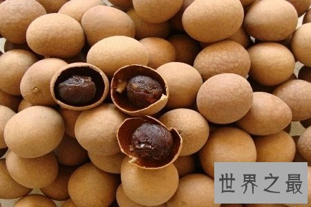 【图】桂圆干不只好吃 还有很高的营养价值