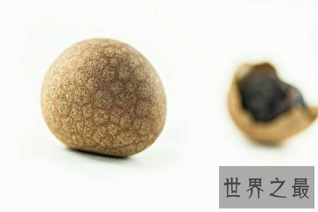 【图】桂圆干不只好吃 还有很高的营养价值