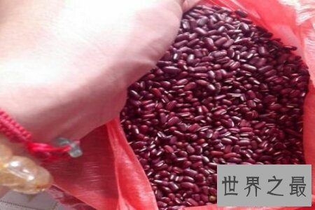 【图】赤小豆和红豆大家都见过吧 那赤小豆和红豆的区
