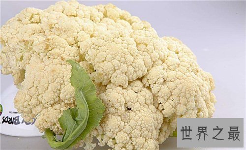 【图】花菜炒肉的做法引见 一道家常必备又好吃的菜