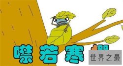 【图】噤若寒蝉成语故事介绍 含义以及使用方法介绍