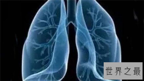 【图】肺部纤维化病因原由引见 症状以及治疗方法引见