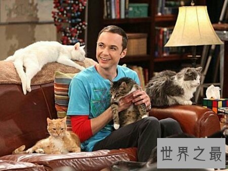 【图】谢耳朵是谁 他是生存大爆炸里面的一位博士