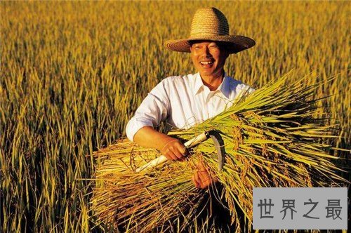 【图】不惑之年是几岁 不惑之年成语含义及出处