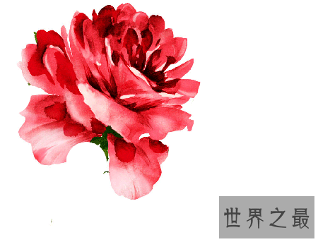 【图】倾尽天下歌词中透显露怎么的感情