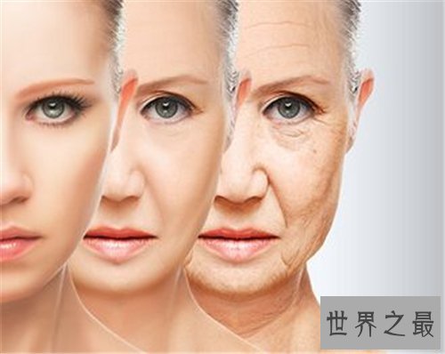 【图】测试你的长相属于哪一种 萌妹还是御姐测下就知