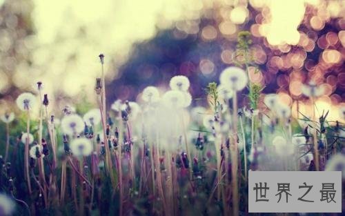 【图】鼻子不通气怎样办，心境不好兴许只是由于鼻子