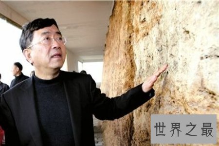 【图】作者是一篇文学作品的最重要的局部 你本人或者