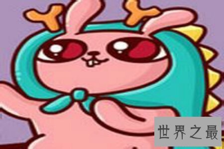 【图】冷兔冤家们据说过吗 那么你知道这个兔子它为什