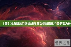 【图】冷兔朋友们听说过吗 那么你知道这个兔子它为什