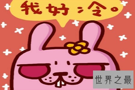 【图】冷兔冤家们据说过吗 那么你知道这个兔子它为什