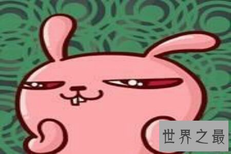 【图】冷兔冤家们据说过吗 那么你知道这个兔子它为什
