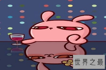 【图】冷兔冤家们据说过吗 那么你知道这个兔子它为什