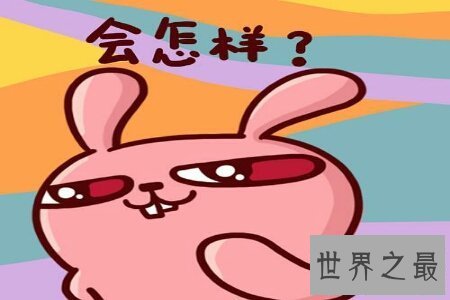 【图】冷兔冤家们据说过吗 那么你知道这个兔子它为什